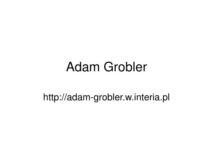 adam grobler