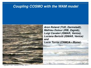 Coupling COSMO with the WAM model