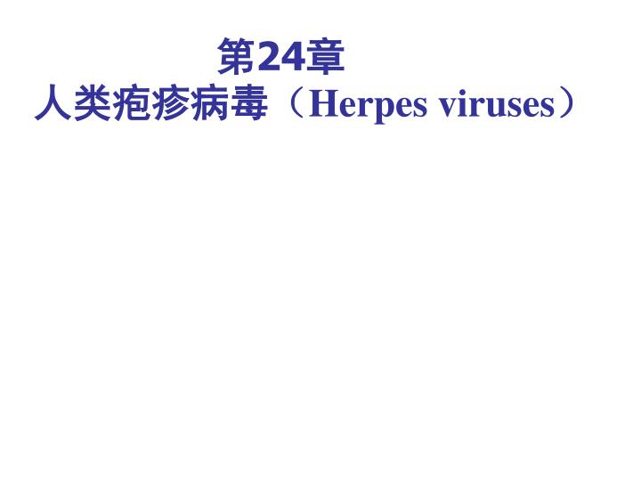 24 herpes viruses