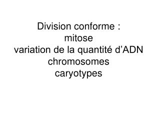 division conforme mitose variation de la quantit d adn chromosomes caryotypes