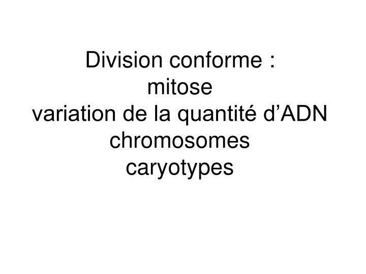 division conforme mitose variation de la quantit d adn chromosomes caryotypes