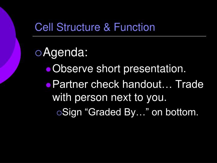 cell structure function