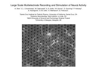Large Scale Multielectrode Recording and Stimulation of Neural Activity