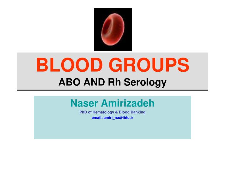 blood groups abo and rh serology
