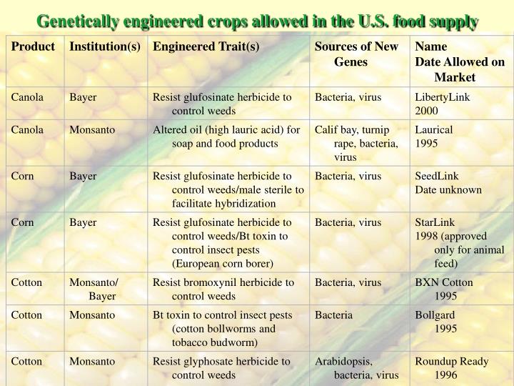 genetically engineered crops allowed in the u s food supply