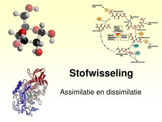 stofwisseling