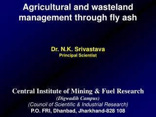 Agricultural and wasteland management through fly ash Dr. N.K. Srivastava Principal Scientist