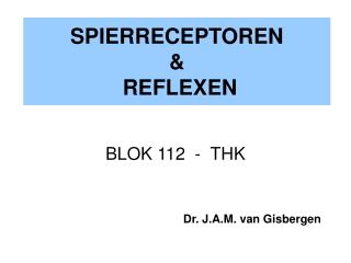 spierreceptoren reflexen