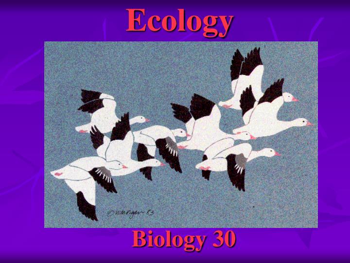 ecology