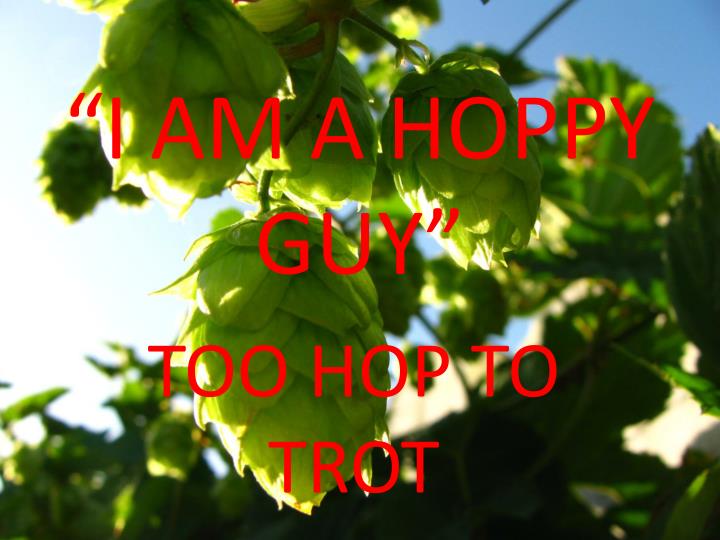 i am a hoppy guy