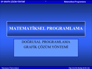 matemat ksel programlama
