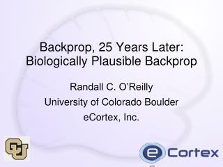 Backprop, 25 Years Later: Biologically Plausible Backprop