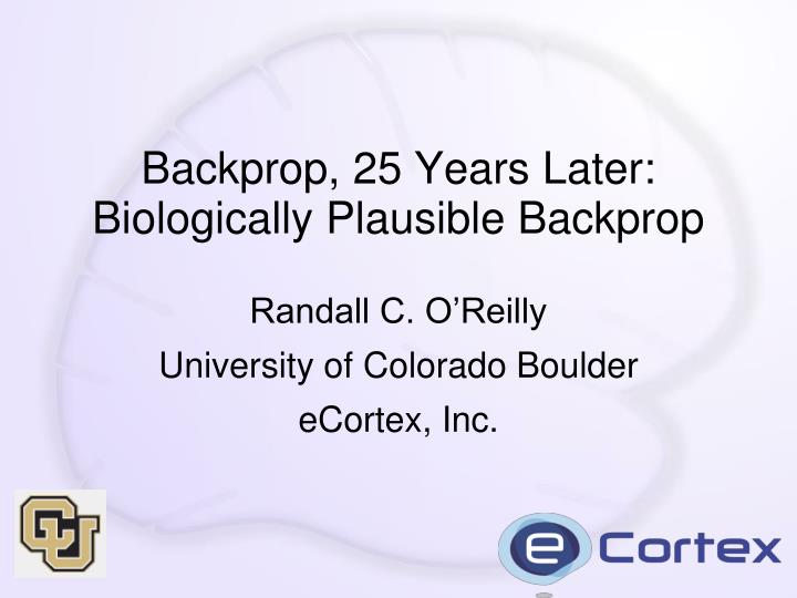 backprop 25 years later biologically plausible backprop