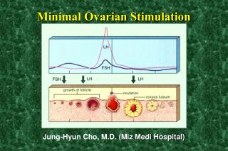 Minimal Ovarian Stimulation