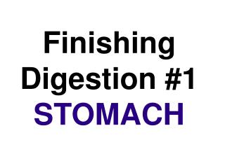 Finishing Digestion #1 STOMACH