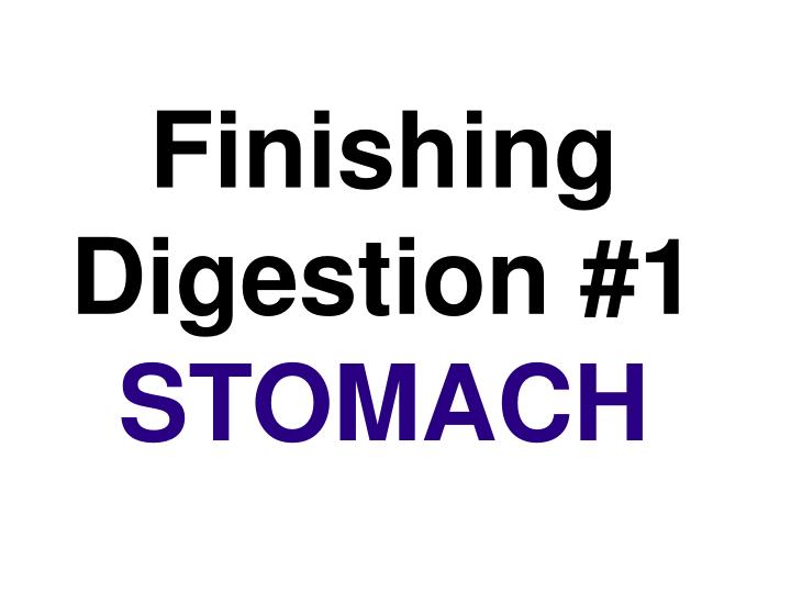 finishing digestion 1 stomach