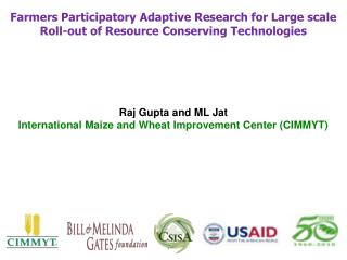 Raj Gupta and ML Jat International Maize and Wheat Improvement Center (CIMMYT)