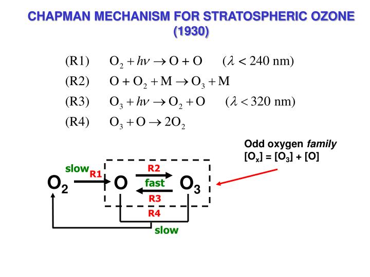chapman mechanism for stratospheric ozone 1930