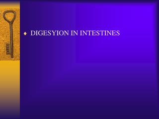 DIGESYION IN INTESTINES