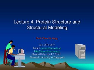 Protein Structural Organization