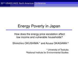 Energy Poverty in Japan