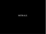 MITRALE - slide 1