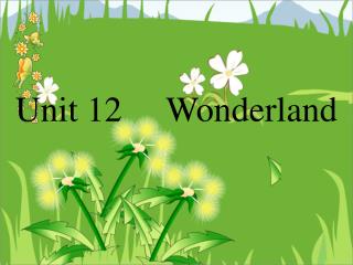 Unit 12 Wonderland