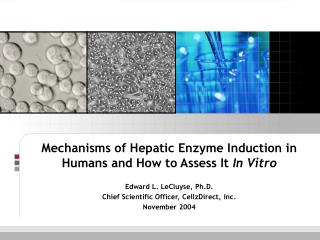 Mechanisms of Hepatic Enzyme Induction in Humans and How to Assess It In Vitro