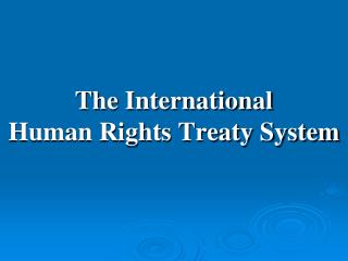 The International Human Rights Treaty System