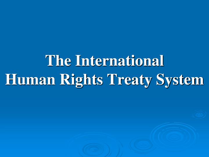 the international human rights treaty system