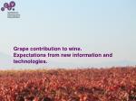 PPT - Grape Expectations PowerPoint Presentation, Free Download - ID ...