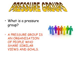 What is a pressure group?