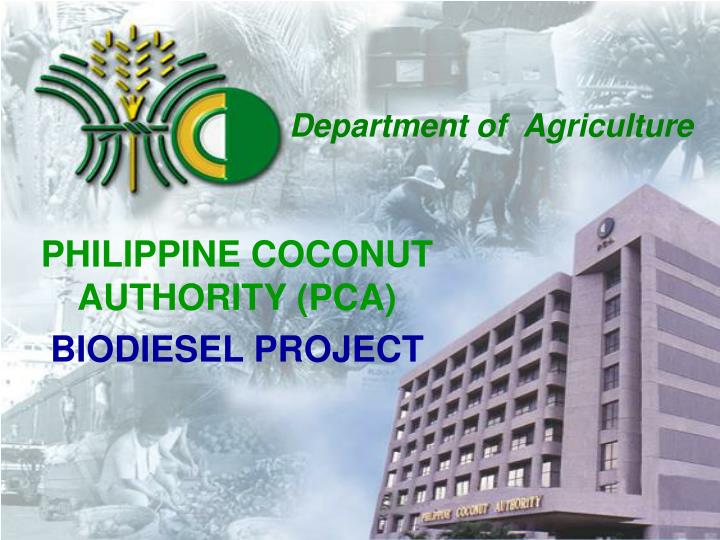 philippine coconut authority pca biodiesel project