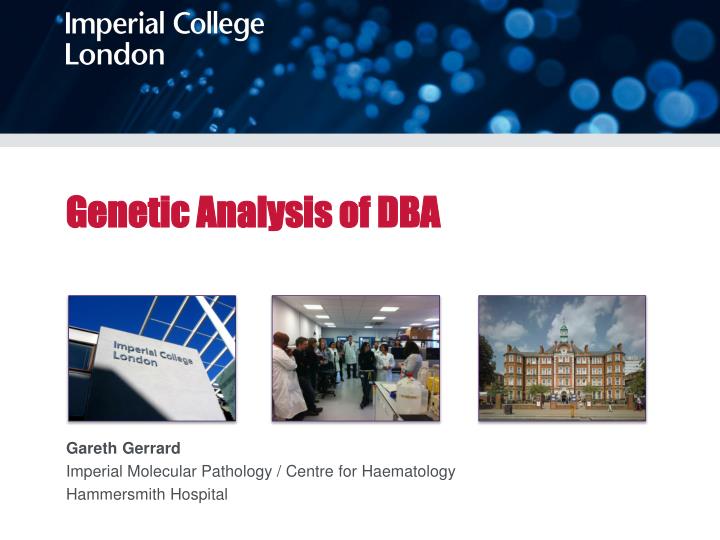 genetic analysis of dba