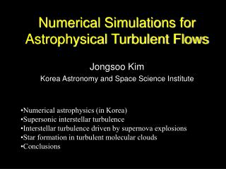 Numerical Simulations for Astrophysical Turbulent Flows