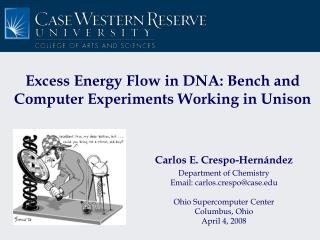 Excess Energy Flow in DNA: Bench and Computer Experiments Working in Unison