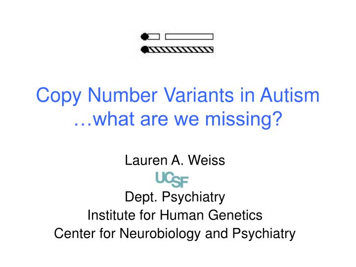 copy number variants in autism what are we missing