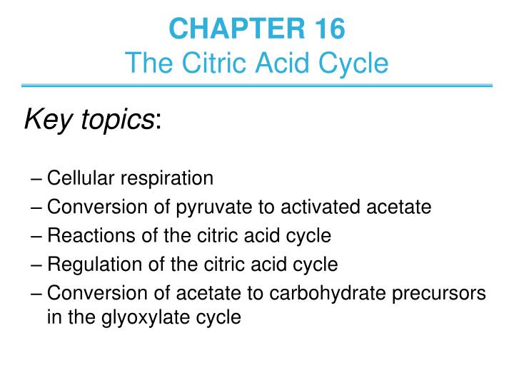 chapter 16 the citric acid cycle