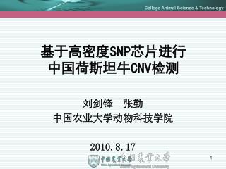 snp cnv
