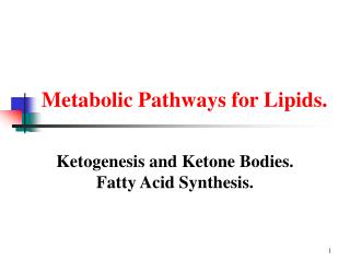 Metabolic Pathways for Lipids.