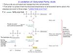 -oxidation of Saturated Fatty Acids - slide 1