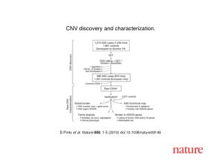 D Pinto et al. Nature 000 , 1-5 (2010) doi:10.1038/nature09146