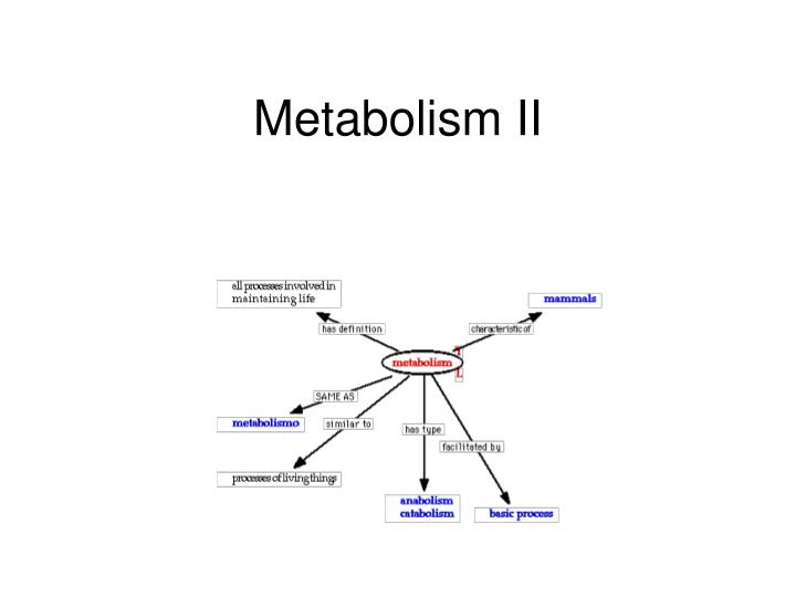 metabolism ii