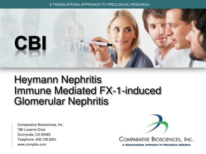 cbi heymann nephritis immune mediated fx 1 induced glomerular nephritis