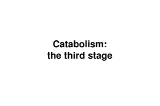 Catabolism: the third stage