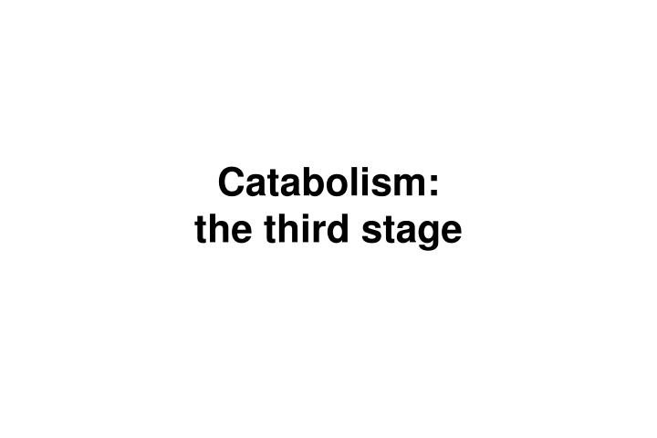 catabolism the third stage