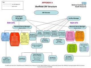 Sheffield CRF Structure