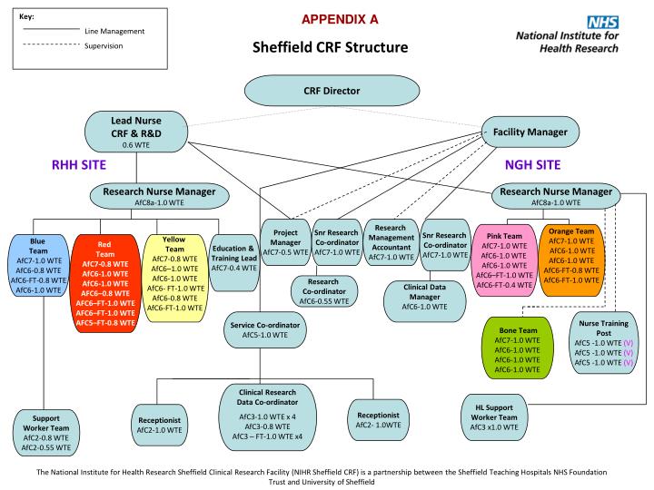 sheffield crf structure