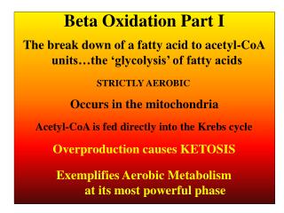 Beta Oxidation Part I