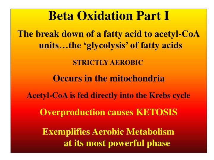 beta oxidation part i